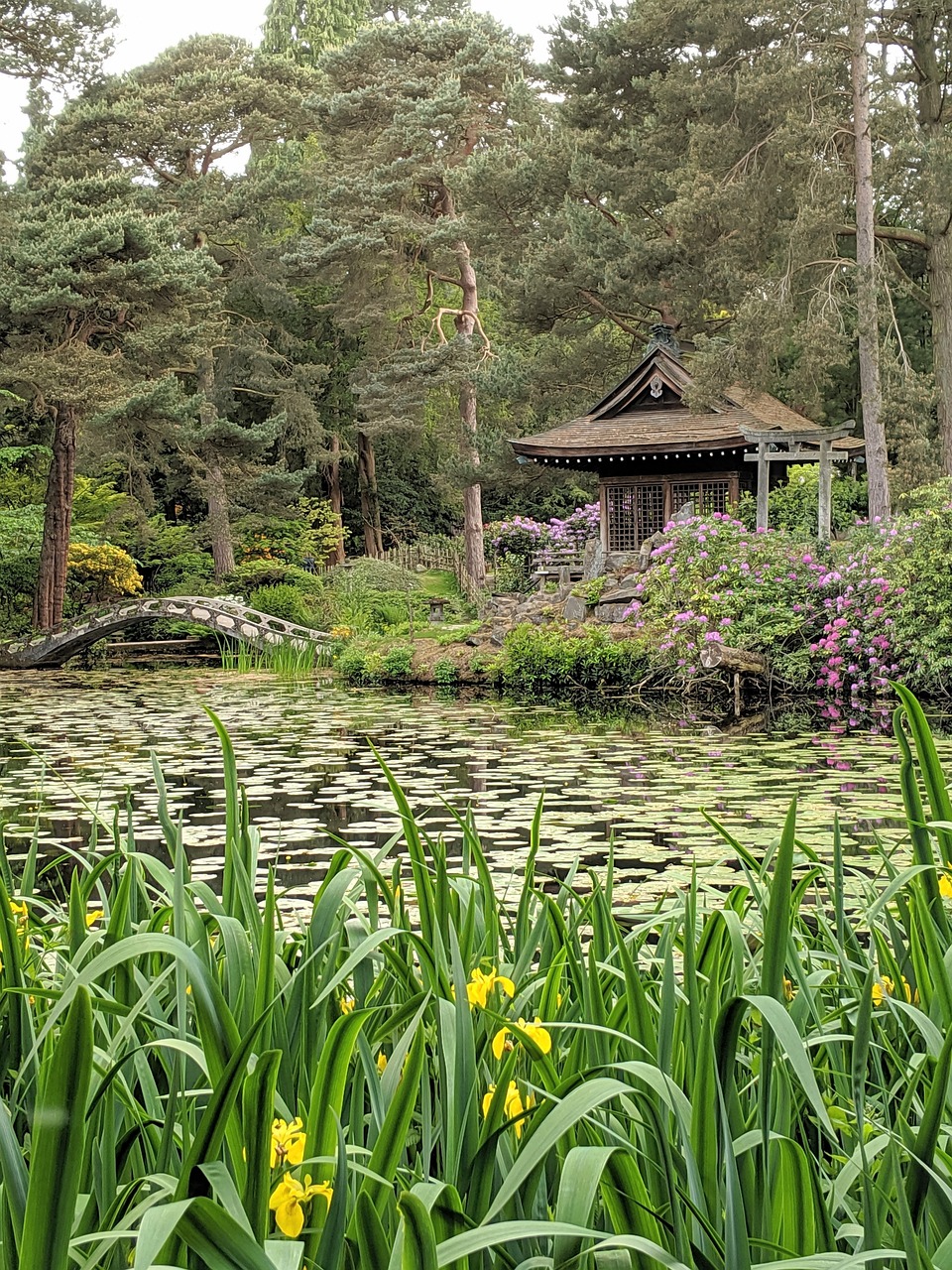 The mind-body is like an ecosystem, all pieces and parts should live in perfect harmony. 