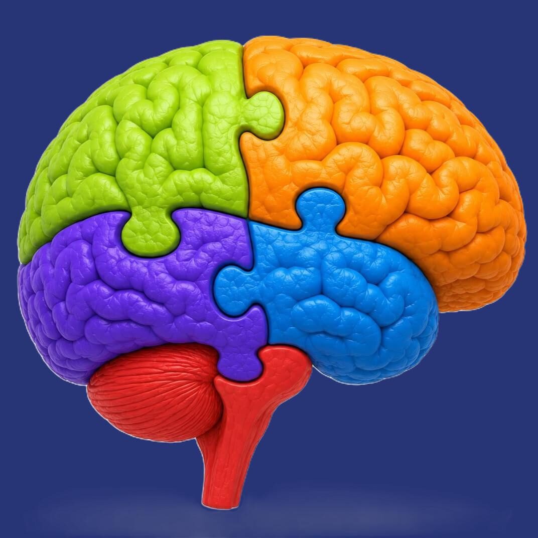 Integrative Care Brain - colored